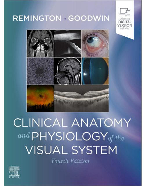 Clinical Anatomy And Physiology Of The Visual System, 4Th Edition
