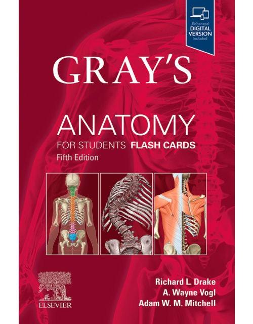 Gray's Anatomy for Students Flash Cards
