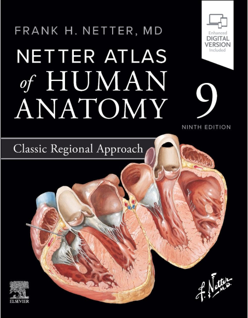 Netter Atlas of Human Anatomy: Classic Regional Approach 9ª
