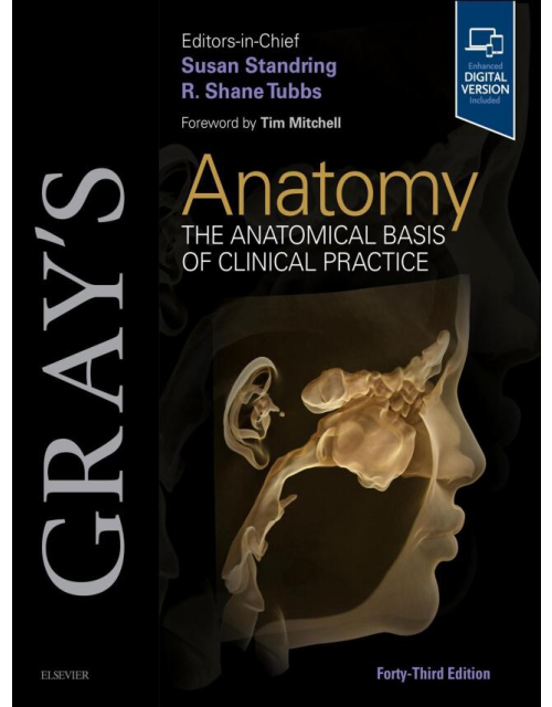 GRAY's Anatomy