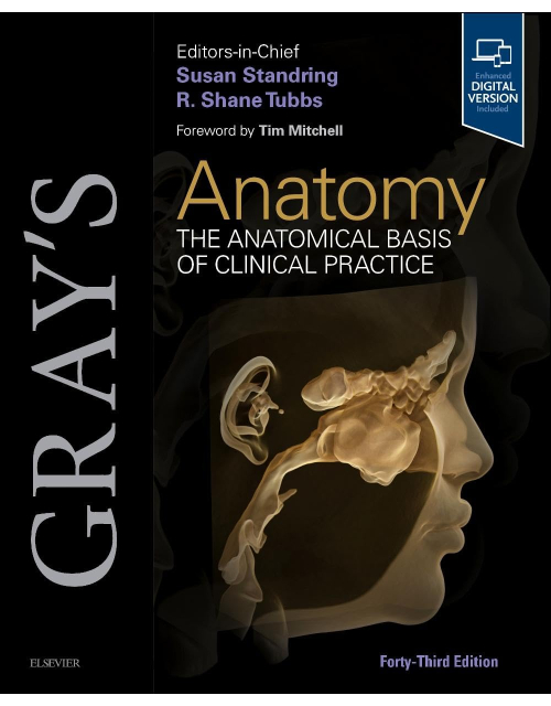 GRAY's Anatomy