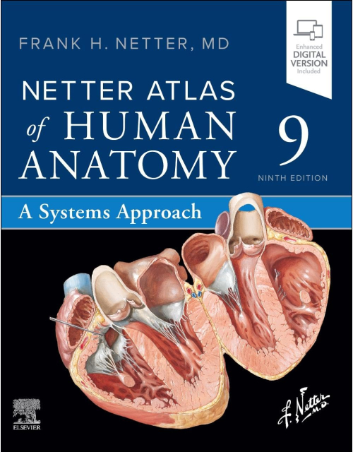 NETTER Atlas of Human Anatomy. A Systems Approach