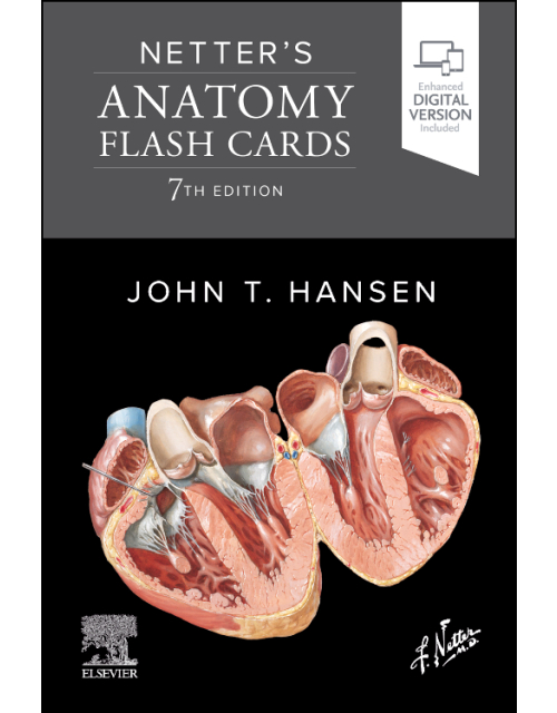 NETTER's Anatomy Flash Cards 7ª