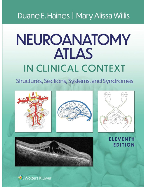 Neuroanatomy Atlas in Clinical Context