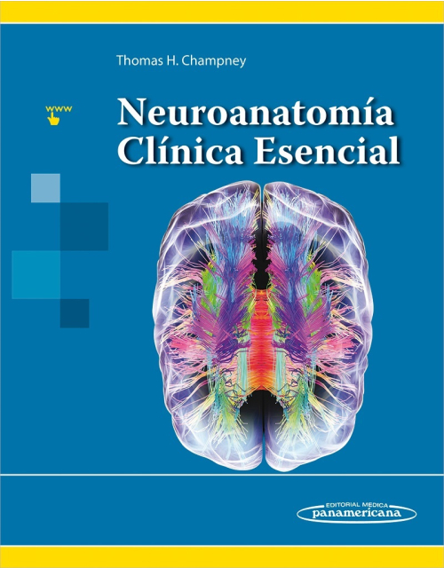 Neuroanatomía Clínica Esencial