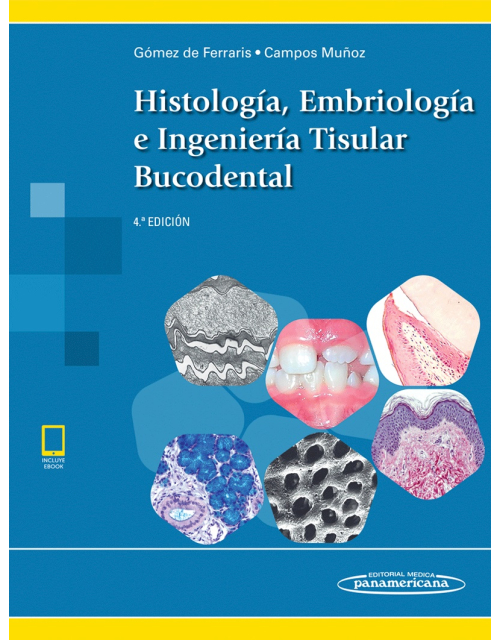 Histología Embriología E Ingeniería Tisular Buco Dental 4Ed Incluye Versión Digital