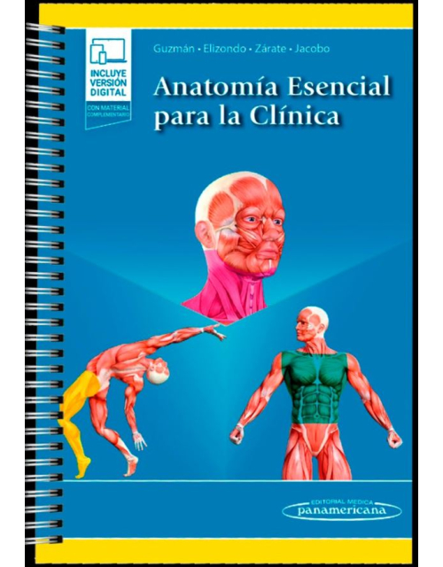 Anatomía Esencial Para La Clínica