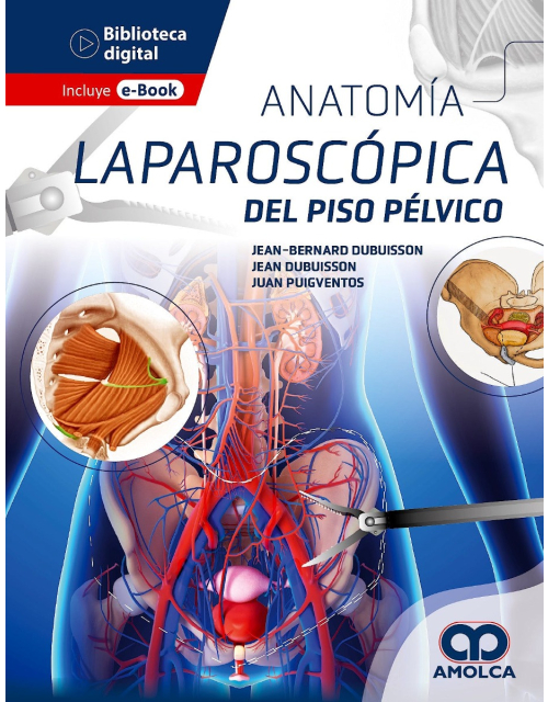 Anatomía Laparoscópica del Piso Pélvico