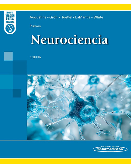 Purves. Neurociencia
