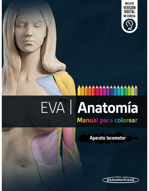 EVA Anatom&iacute;a. Manual para Colorear: Aparato Locomotor.