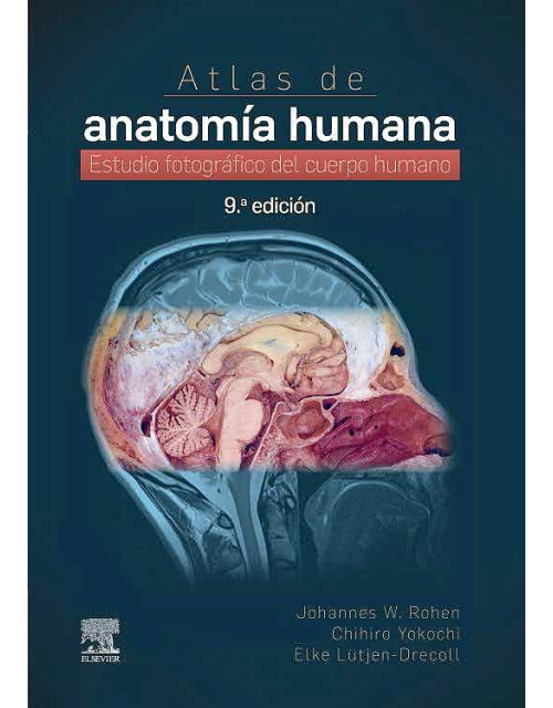 Atlas De Anatomía Humana. Estudio Fotográfico Del Cuerpo Humano