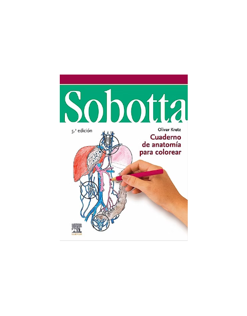 Sobotta Cuaderno De Anatomía Para Colorear