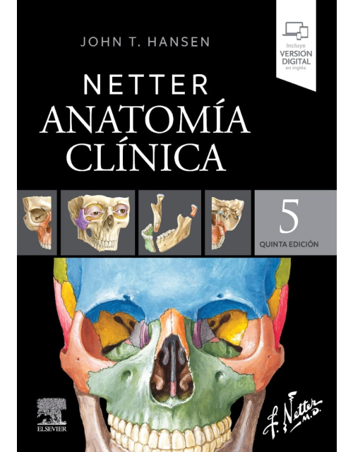 NETTER Anatomía Clínica