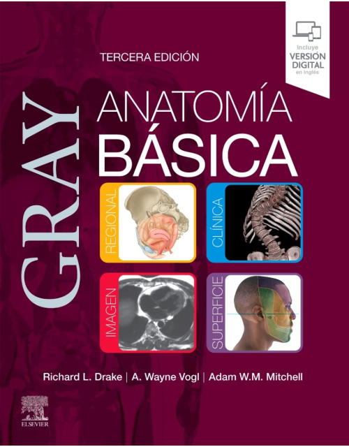 GRAY Anatomía Básica