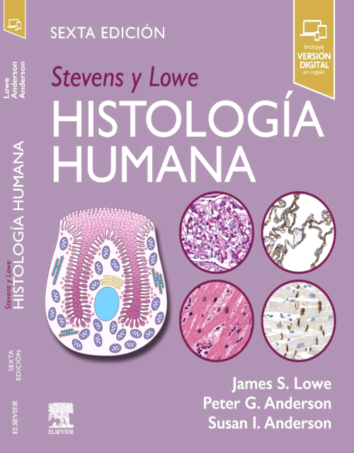 STEVENS y LOWE Histología Humana