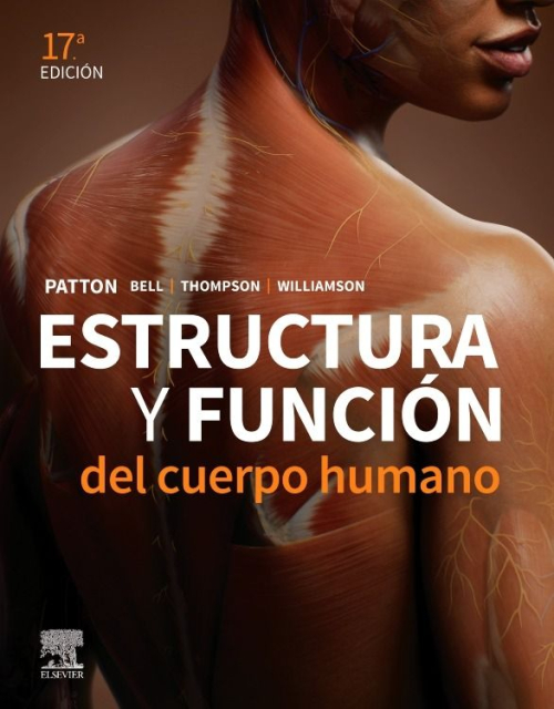 Estructura y función del cuerpo humano 17ª