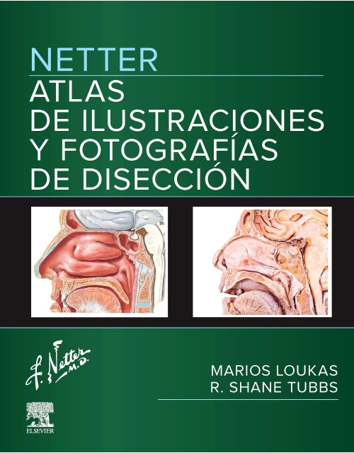 Netter. Atlas de ilustraciones y fotografías de disección
