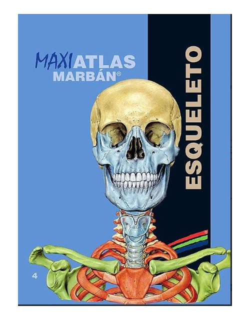 Maxi Atlas 4 Esqueleto