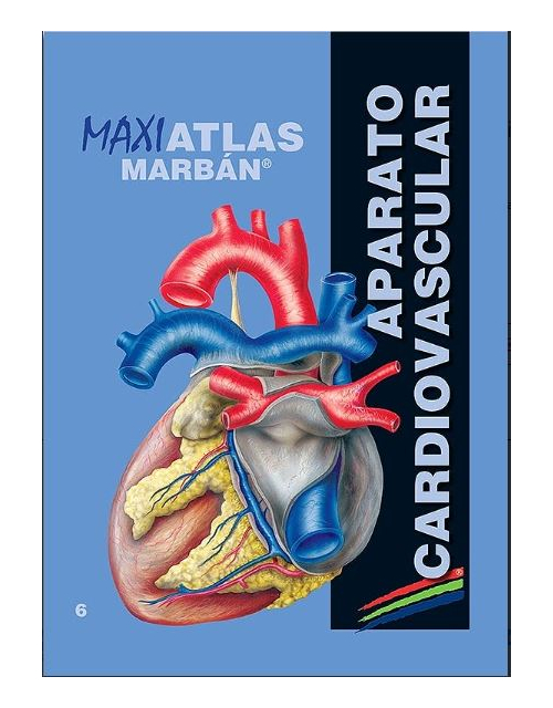 Maxi Atlas, Vol. 6: Aparato Cardiovascular