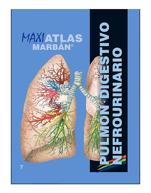 Maxi Atlas Vol. 7: Pulmón. Digestivo. Nefrourinario