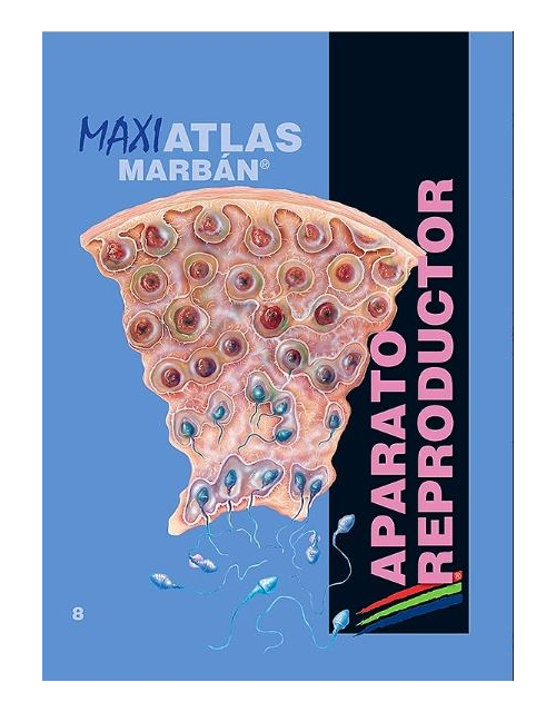 Maxi Atlas Vol. 8: Aparato Reproductor