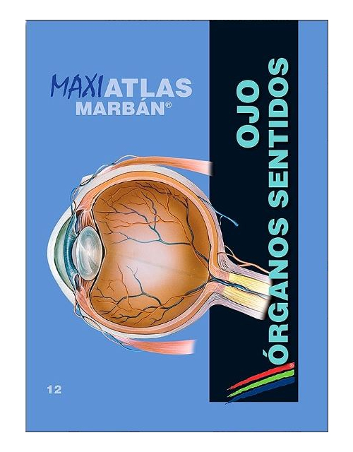 Maxi Atlas, Vol. 12: Ojo. Órganos De Los Sentidos