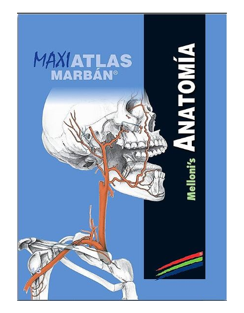Maxi Atlas Vol. 15: Anatomía Melloni'S