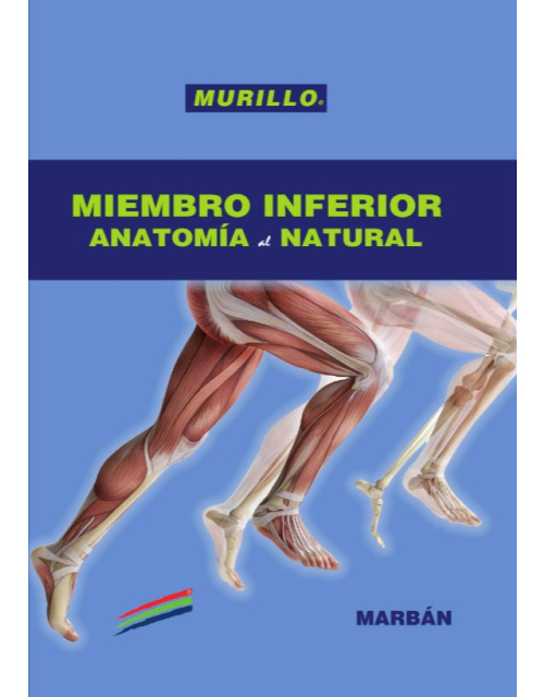 Miembro Inferior. Anatomía Al Natural
