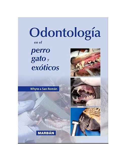 Odontología En El Perro, Gato Y Exóticos