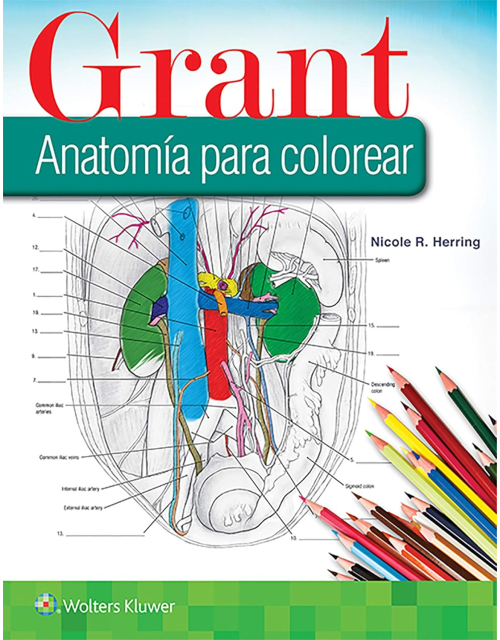 Grant Anatomía Para Colorear