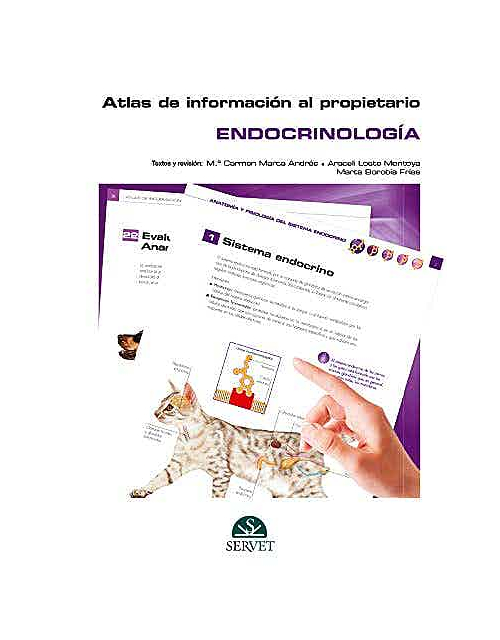Atlas De Información Al Propietario. Endocrinología
