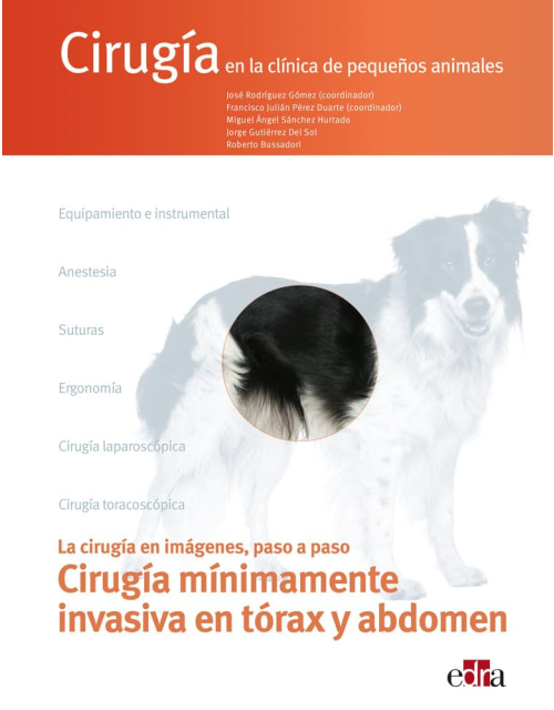 Cirugía en la Clínica de Pequeños Animales Cirugía Mínimamente Invasiva en Tórax y Abdomen.