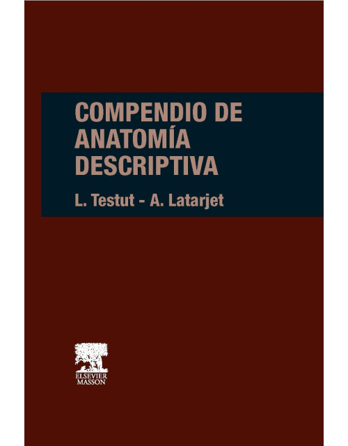 Compendio De Anatomía Descriptiva
