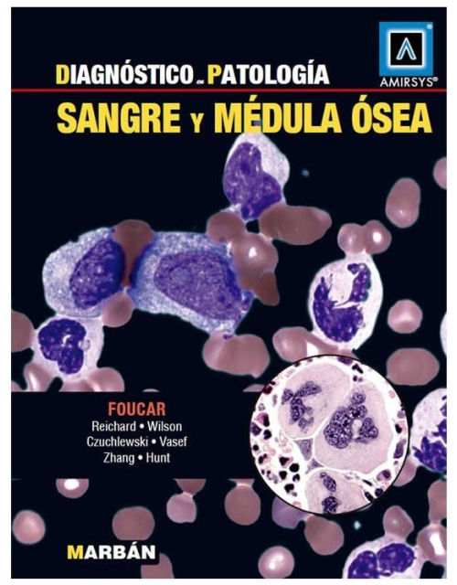 Amirsys Dp: Sangre Y Medula Osea
