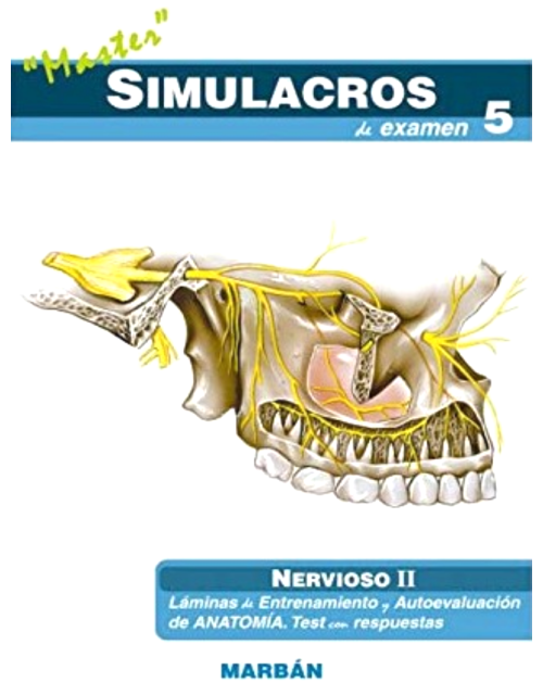 Simulacros 5, Nervioso Ii