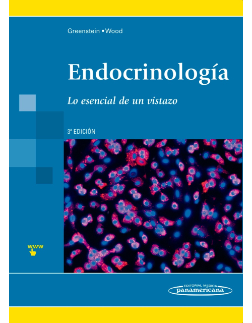 Endocrinología Lo Esencial De Un Vistazo