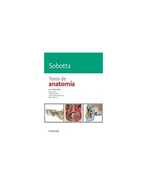 Sobotta Texto De Anatomía
