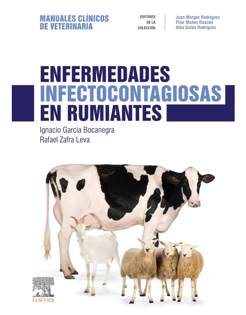 Enfermedades Infectocontagiosas En Rumiantes Manuales Clínicos De Veterinaria