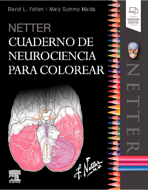 Netter Cuaderno De Neurociencia Para Colorear
