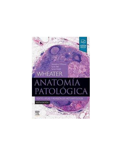 Wheater Anatomía Patológica 6Ed.