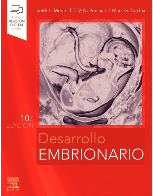 Desarrollo Embrionario