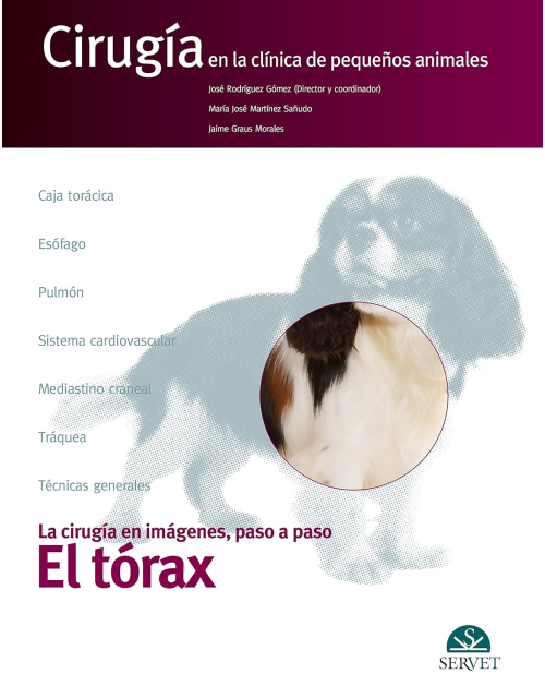 El t&oacute;rax. Cirug&iacute;a en la cl&iacute;nica de peque&ntilde;os animales