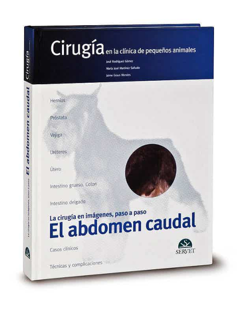 Cirugia En La Clinica De Pequeños Animales. La Cirugia En Imagenes, Paso A Paso: El Abdomen Caudal