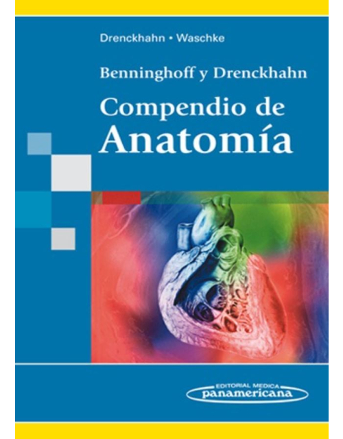 Benninghoff & Drenckhahn Compendio De Anatomía