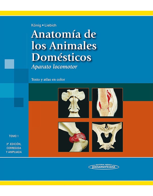 Anatomía De Los Animales Domésticos Texto Y Atlas En Color Tomo 1