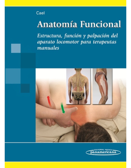 Anatomía Funcional