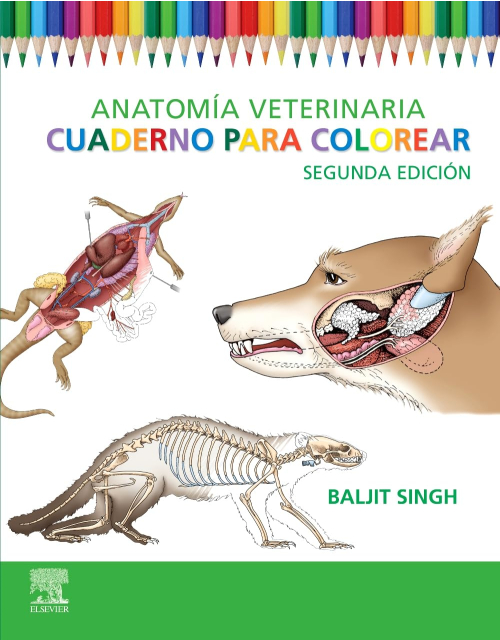 Anatomía veterinaria. Cuaderno para colorear
