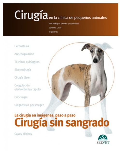 Cirugía Sin Sangrado. Cirugía En La Clínica De Pequeños Animales