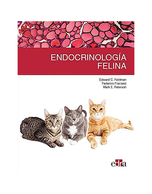 Endocrinologia Felina