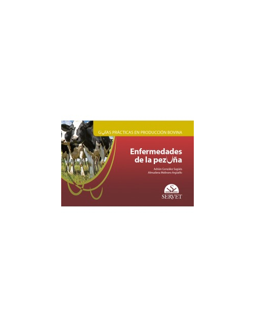Guías Prácticas En Producción Bovina. Enfermedades De La Pezuña